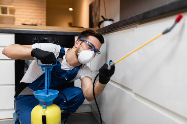 Best Emergency Pest Control  in Madison, MN