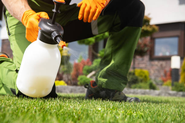 Best Exterminator Services  in Madison, MN