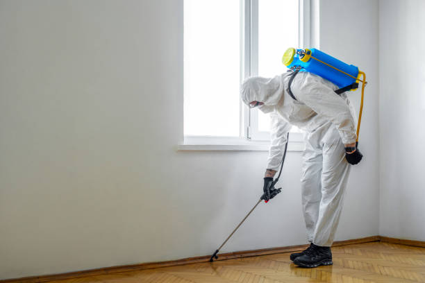 Best Cockroach Control Services  in Madison, MN
